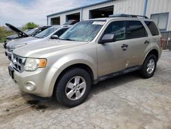 Ford Escape salvage cars for sale: 2010 Ford Escape XLT