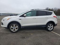 Salvage cars for sale from Copart Brookhaven, NY: 2013 Ford Escape SE