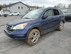 Salvage cars for sale at York Haven, PA auction: 2010 Honda CR-V EX