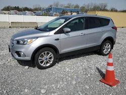 Salvage cars for sale at Barberton, OH auction: 2019 Ford Escape SE