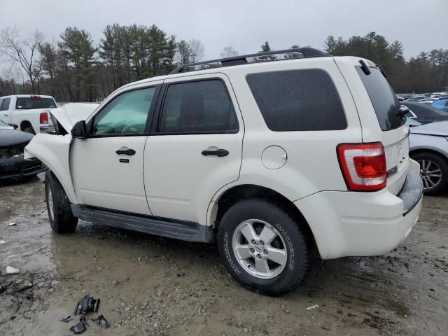 2010 Ford Escape XLT