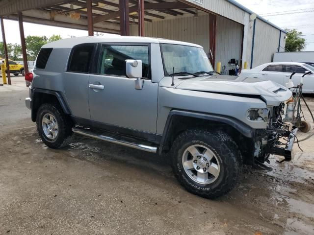 2010 Toyota FJ Cruiser