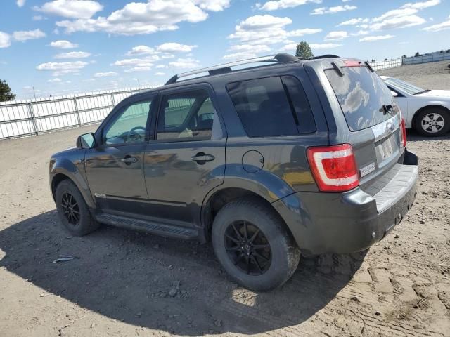 2008 Ford Escape HEV