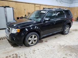 Vehiculos salvage en venta de Copart Kincheloe, MI: 2009 Ford Escape Limited