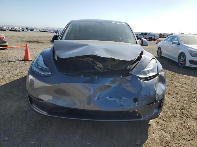 2020 Tesla Model Y