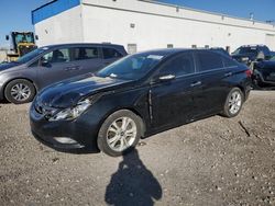 Salvage cars for sale from Copart Farr West, UT: 2011 Hyundai Sonata SE