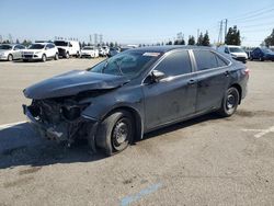 Salvage cars for sale at Rancho Cucamonga, CA auction: 2015 Toyota Camry LE