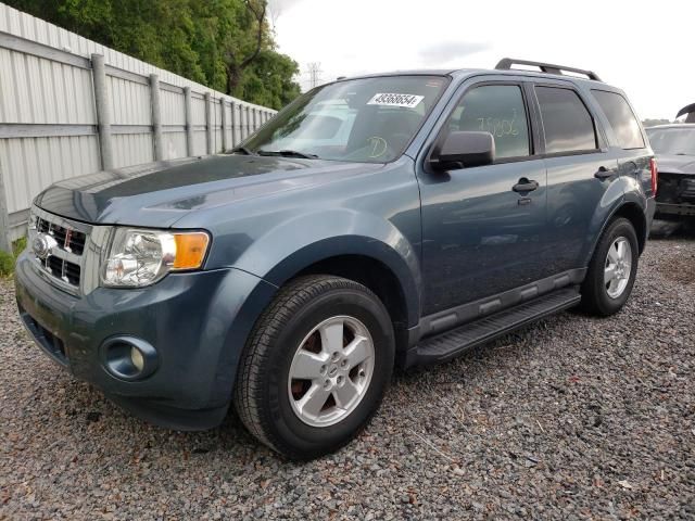 2011 Ford Escape XLT