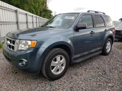 2011 Ford Escape XLT for sale in Riverview, FL