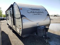 Camiones dañados por granizo a la venta en subasta: 2015 Coachmen Catalina