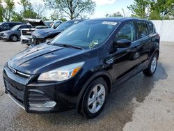 Ford Escape se salvage cars for sale: 2015 Ford Escape SE