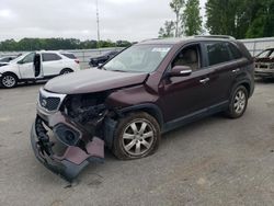 Salvage cars for sale at Dunn, NC auction: 2013 KIA Sorento LX