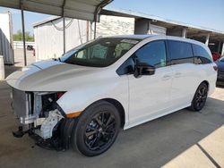 Salvage cars for sale from Copart Fresno, CA: 2023 Honda Odyssey SPORT-L