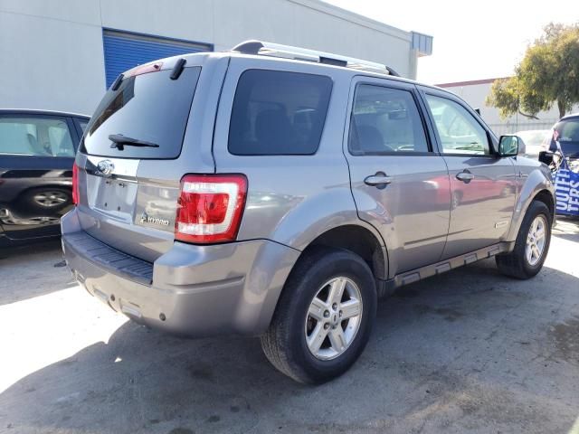 2008 Ford Escape HEV