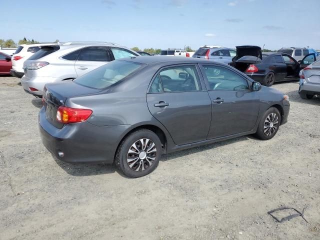 2009 Toyota Corolla Base