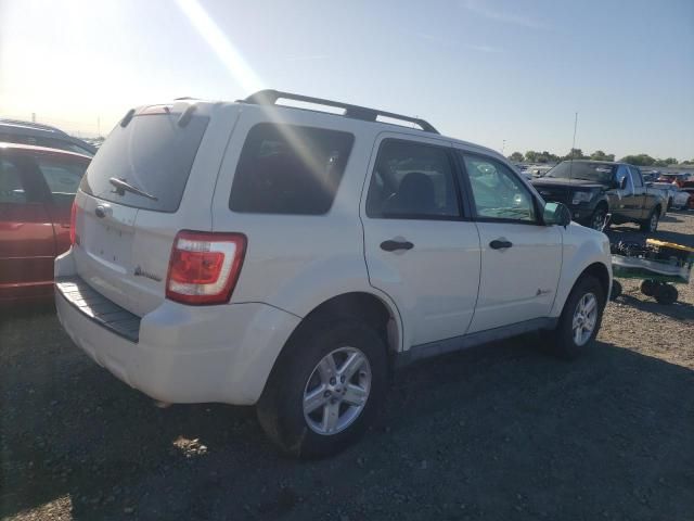 2009 Ford Escape Hybrid