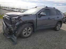 Salvage cars for sale from Copart Eugene, OR: 2023 Toyota Rav4 XLE