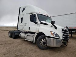 Salvage trucks for sale at Adelanto, CA auction: 2019 Freightliner Cascadia 126