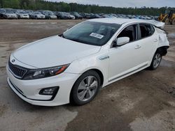 KIA Optima Hybrid salvage cars for sale: 2015 KIA Optima Hybrid