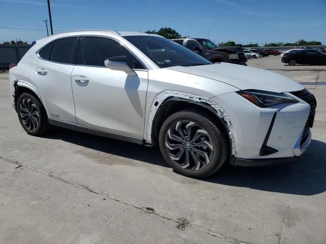 2020 Lexus UX 250H