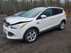 Salvage cars for sale at Bowmanville, ON auction: 2015 Ford Escape SE