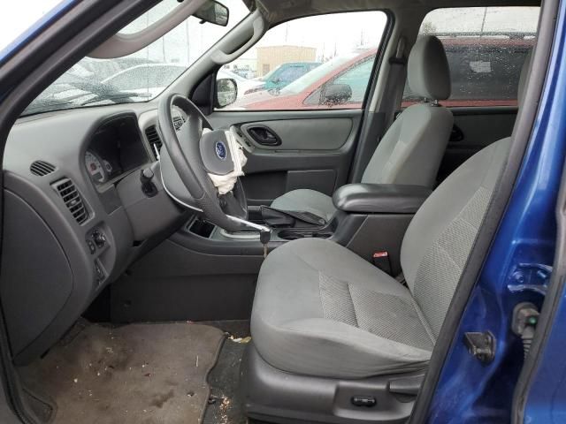 2007 Ford Escape XLT