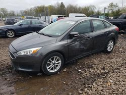 Salvage cars for sale at Chalfont, PA auction: 2016 Ford Focus SE