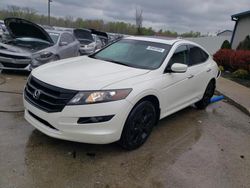 Honda Accord salvage cars for sale: 2010 Honda Accord Crosstour EXL