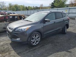 Salvage cars for sale from Copart Grantville, PA: 2015 Ford Escape Titanium