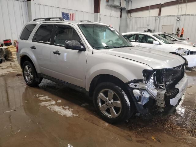 2009 Ford Escape XLT