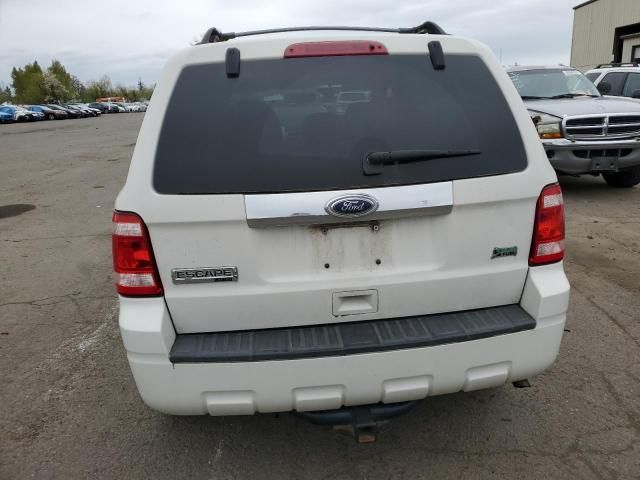 2010 Ford Escape Limited