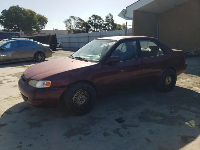 1998 Toyota Corolla VE