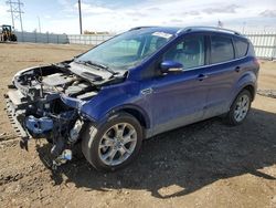 Salvage cars for sale at Bismarck, ND auction: 2014 Ford Escape Titanium