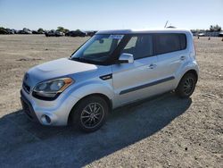 Salvage cars for sale at Antelope, CA auction: 2013 KIA Soul