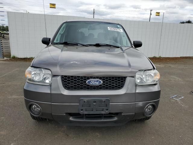 2006 Ford Escape Limited