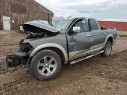 Salvage cars for sale from Copart Rapid City, SD: 2010 Dodge RAM 1500