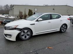 KIA Optima Hybrid salvage cars for sale: 2013 KIA Optima Hybrid