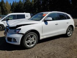 Audi Vehiculos salvage en venta: 2014 Audi Q5 TDI Premium Plus