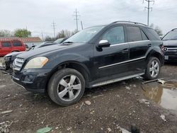 Salvage cars for sale from Copart Columbus, OH: 2010 Mercedes-Benz ML 350 4matic