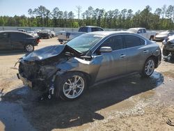 Salvage cars for sale from Copart Harleyville, SC: 2014 Nissan Maxima S