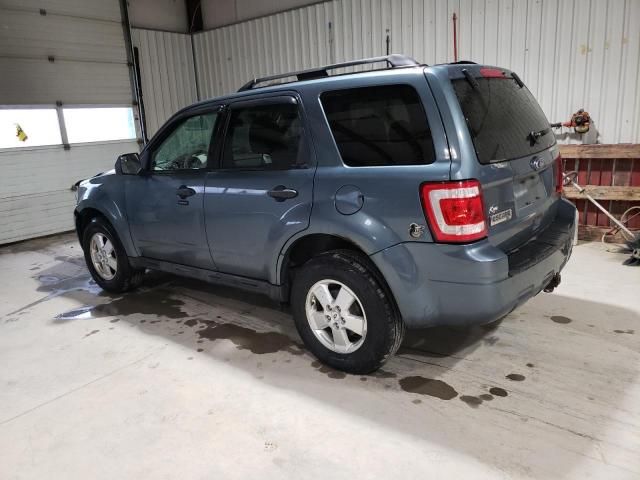 2011 Ford Escape XLT