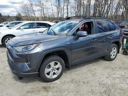 Salvage cars for sale at Candia, NH auction: 2020 Toyota Rav4 XLE