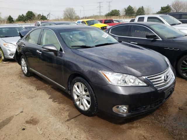 2010 Lexus ES 350