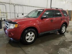 Salvage cars for sale at Avon, MN auction: 2012 Ford Escape XLT