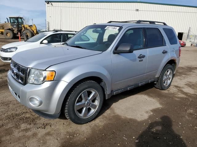 2012 Ford Escape XLT