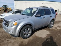 Ford Escape salvage cars for sale: 2012 Ford Escape XLT