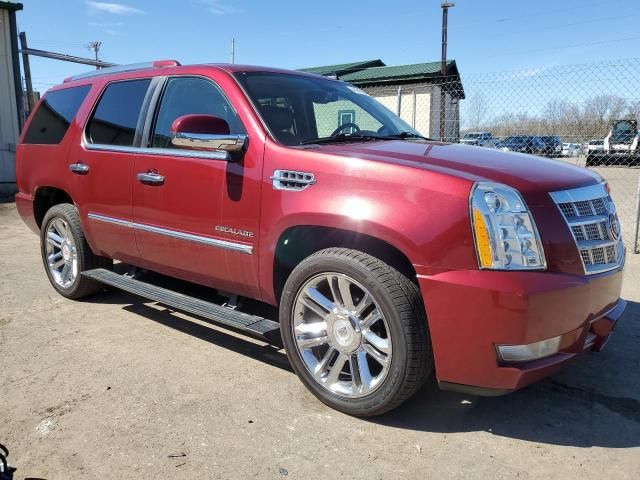 2010 Cadillac Escalade Platinum