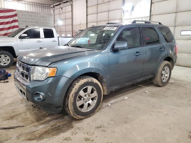 2010 Ford Escape Limited