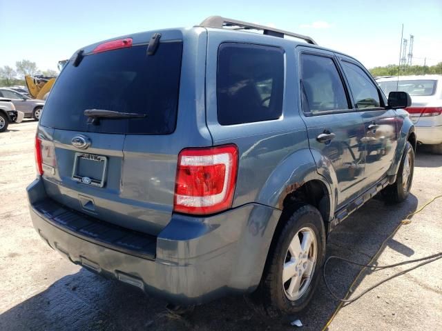 2010 Ford Escape XLT