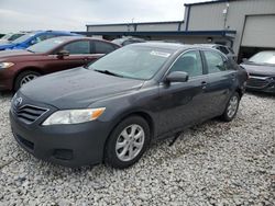 Toyota Camry Base salvage cars for sale: 2010 Toyota Camry Base